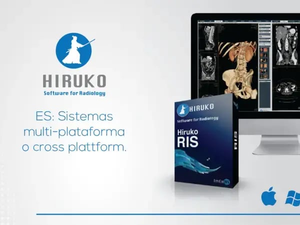 El reinado de Hiruko