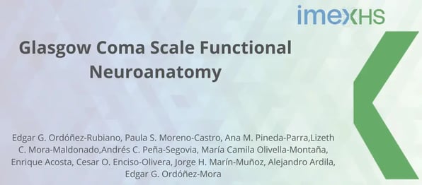 Glasgow Coma Scale Functional Neuroanatomy