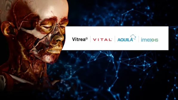 IMEXHS and Vital Images join forces through a global agreement