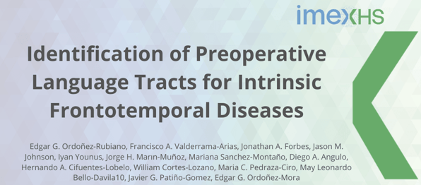 Identification of Preoperative Language Tracts for Intrinsic Frontotemporal Diseases: A Pilot Reconstruction Algorithm in a Middle-Income Country