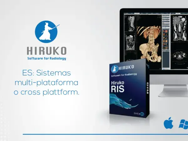 El reinado de Hiruko