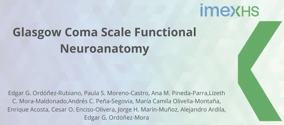 Glasgow Coma Scale Functional Neuroanatomy
