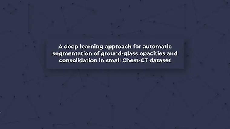 Deep Learning for Lung Lesion Segmentation in Chest CT