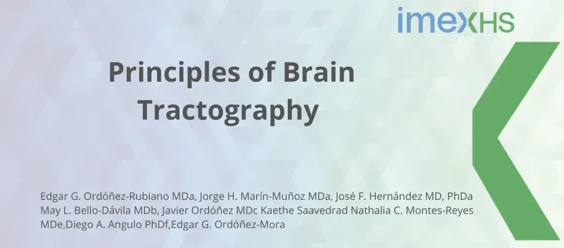 Principles of Brain Tractography